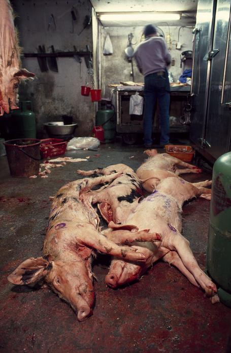 BBQ Meat Factory, 1989